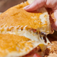 Qdoba quesadilla